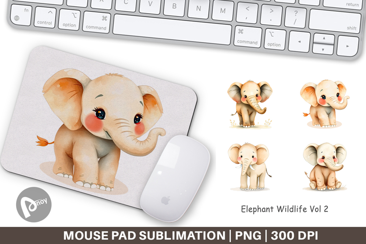Mouse Png Image 3