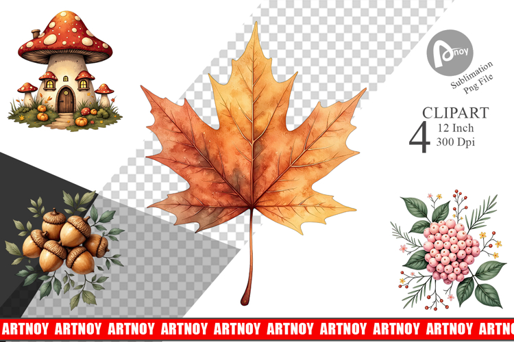 Forest Png Image 12