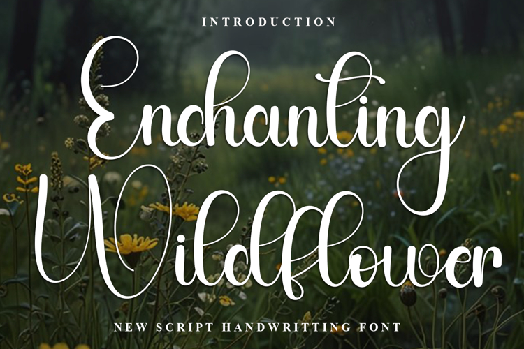 Enchanting Wildflower