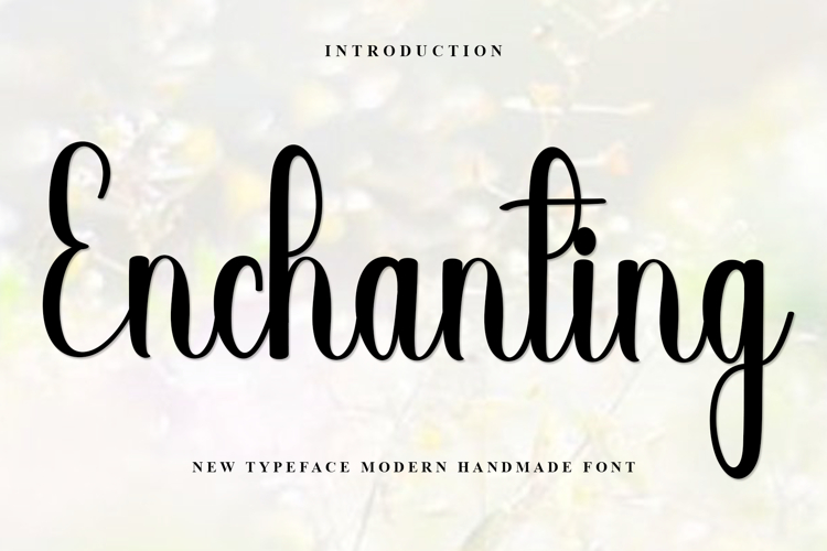 Luxury Font Image 17