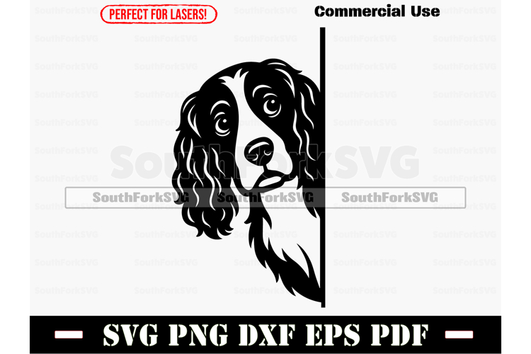 Peering English Springer Spaniel Dog SVG PNG DXF EPS PDF