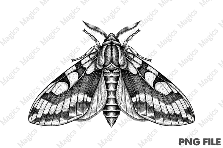 Sale Png Image 6