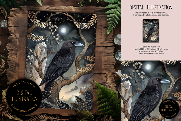 The Crystal Raven Illustration