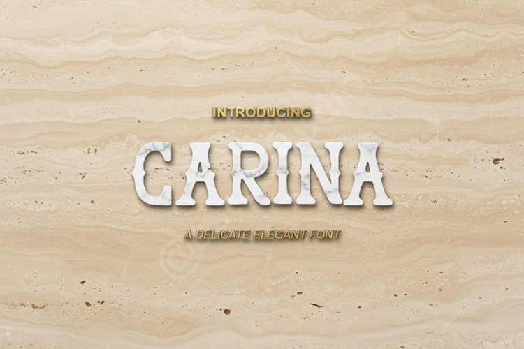 Carina - Elegant Modern Serif Typeface