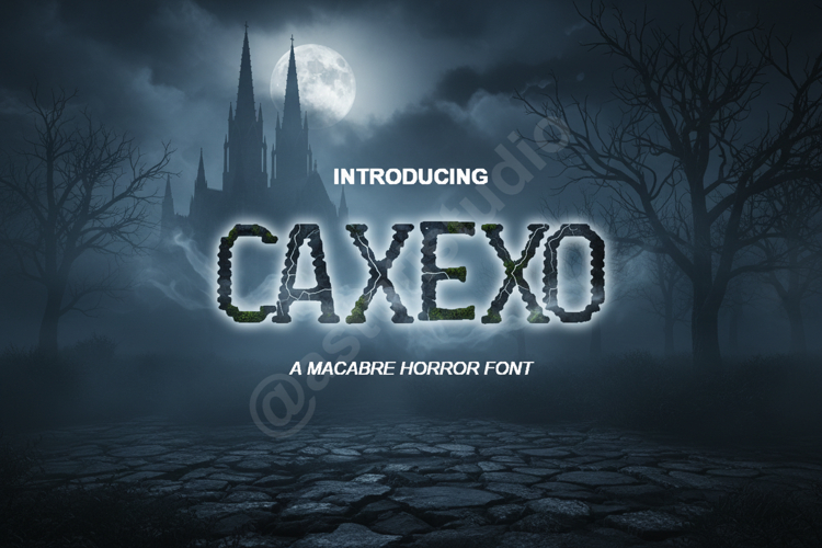 Typography Logo Image 8