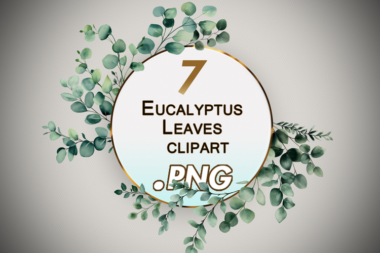 Eucalyptus Clipart Image 22