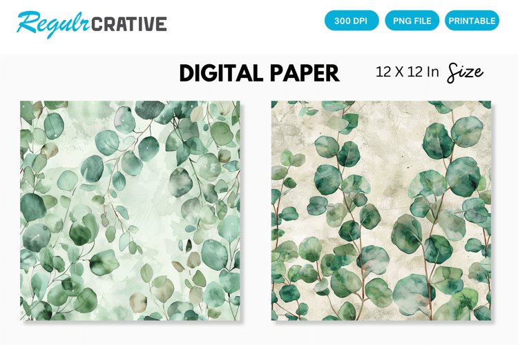 Eucalyptus Illustration Image 22
