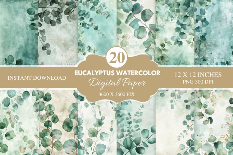 Eucalyptus Illustration Image 15
