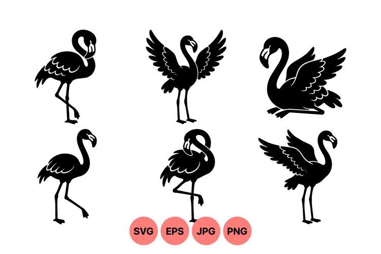 Flamingo Graphic Image 16