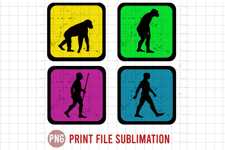 Evolution