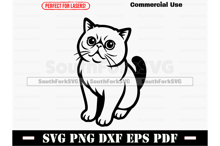 Exotic Shorthair Cat Begging SVG PNG DXF EPS PDF