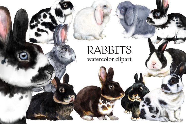 Farm Animals Clipart Image 15