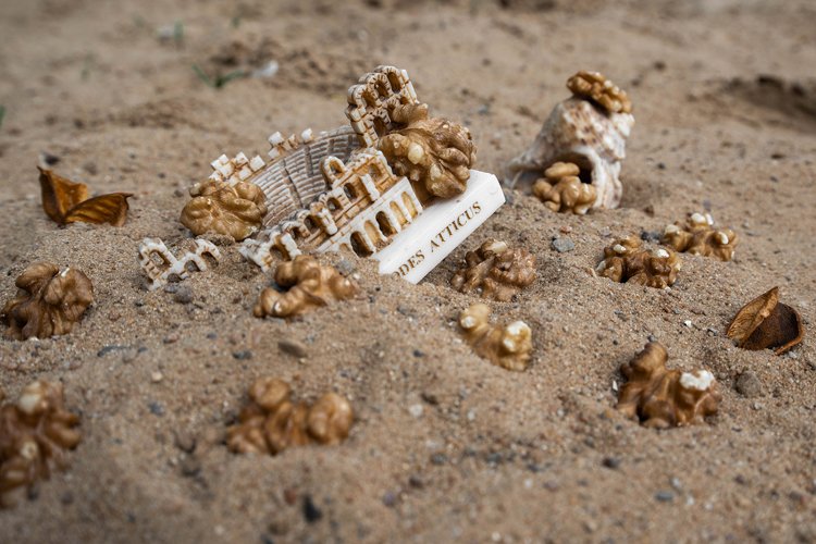 Green Grass Clipart Image 3