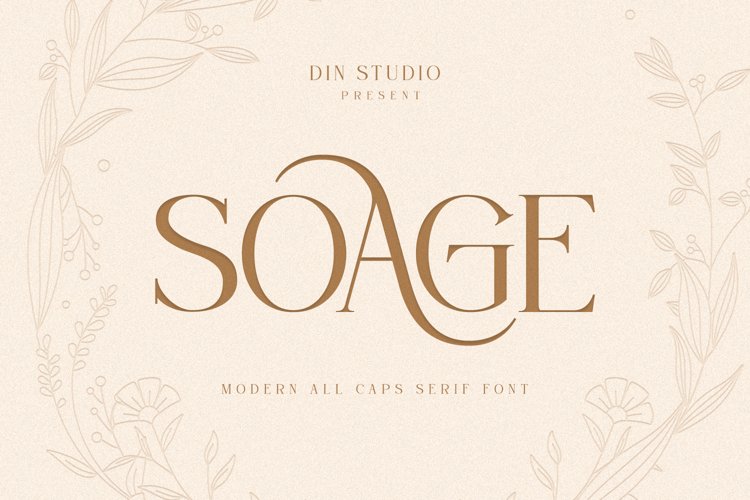 Soage-Modern Sans Serif Font example image 1