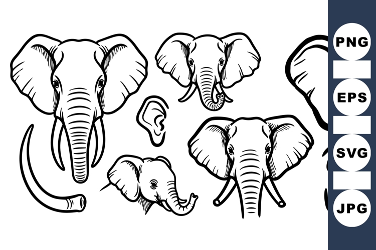 Elephant Black And White Clipart Image 23