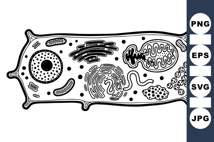 Teaching Clipart Image 14