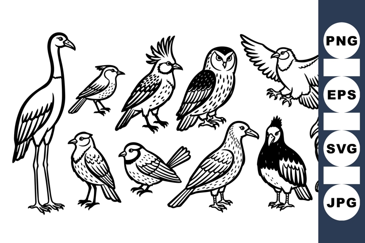 Black Line Bird Illustration Vector