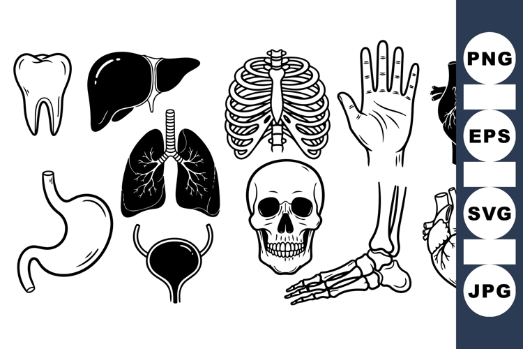 Human Illustration Image 12