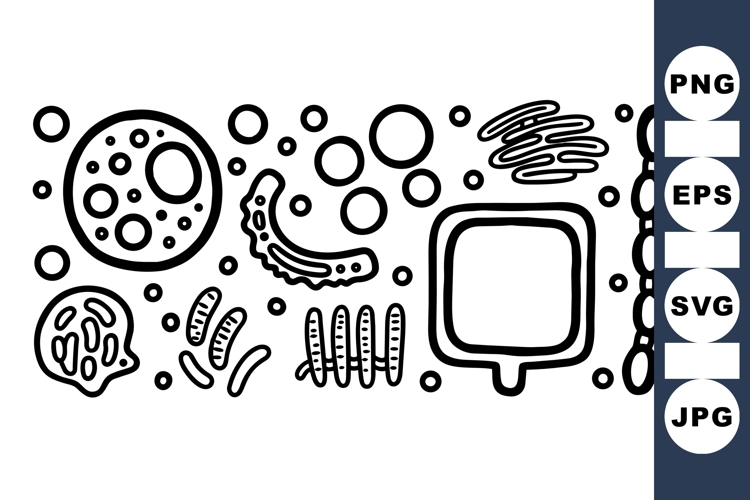 Hand Vector Image 16