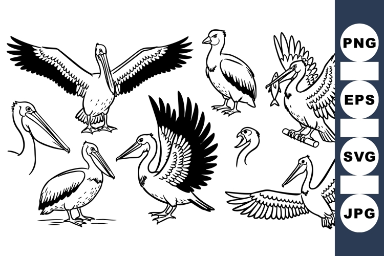 Black And White Bird Clipart Image 9