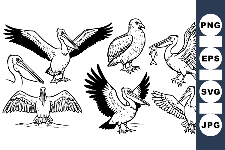 Black And White Bird Clipart Image 8