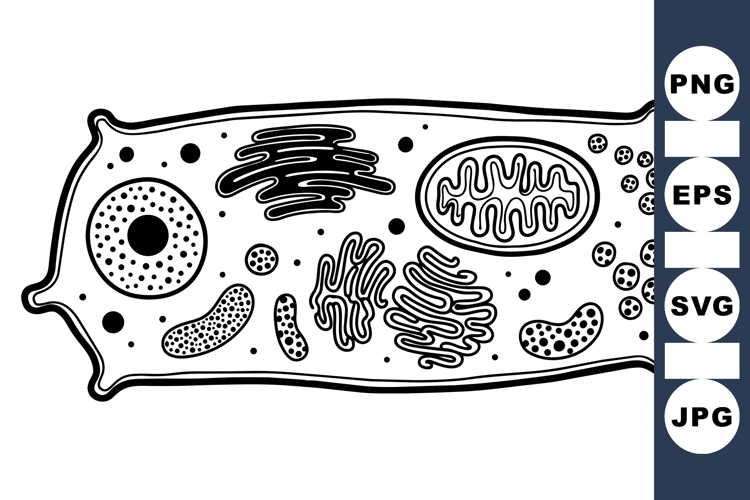 Black And White Svg Image 6