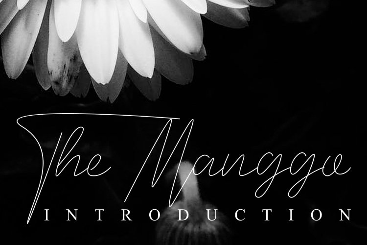 The Manggo example image 1