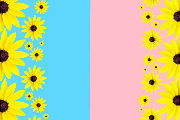 background yellow flowers with petals on two backgrounds example image 1
