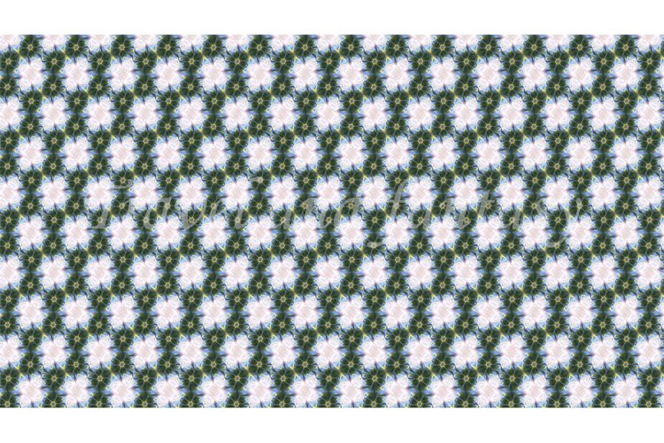 Color Texture Image 24