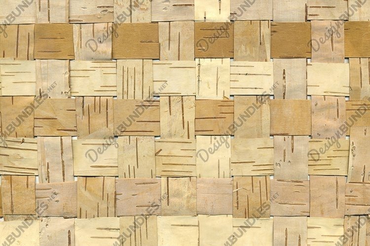 Bark Texture Image 10