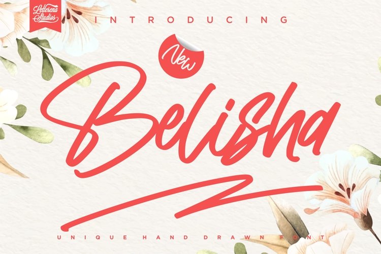 Belisha - Unique Handwritten Signature Font example image 1