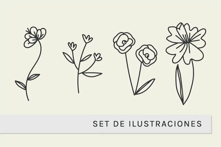 Flores Botanicas