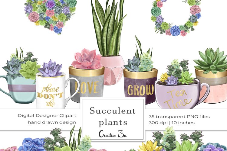 Succulent Plants - Clipart example image 1