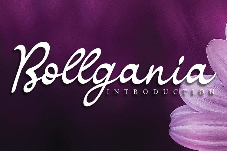 Bollgania example image 1