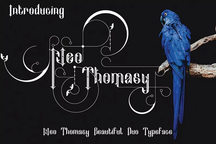 Neo Thomasy - A Unique Duo Typeface Font