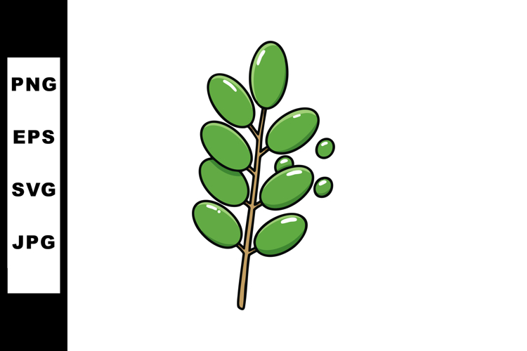 Fruit Illustration Image 5