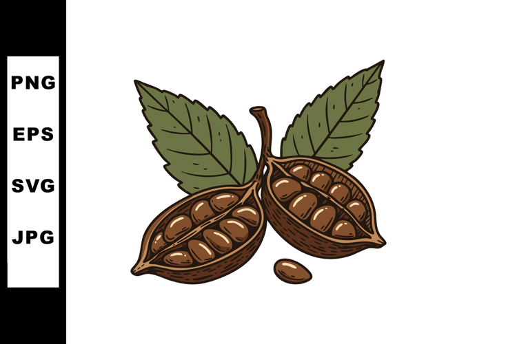 Coco Clipart Image 14