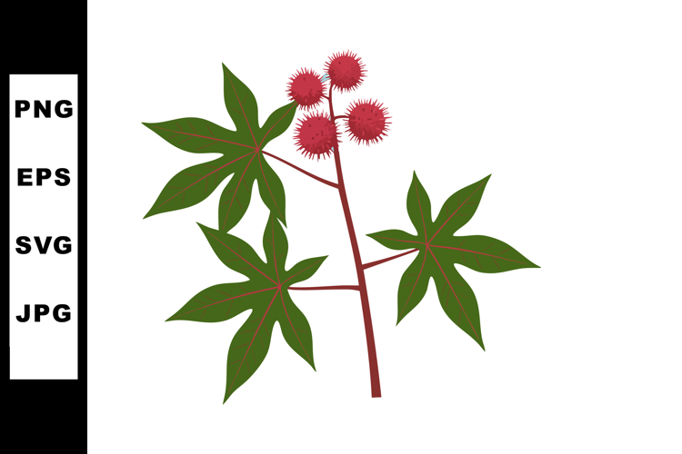 Seed Clipart Image 2