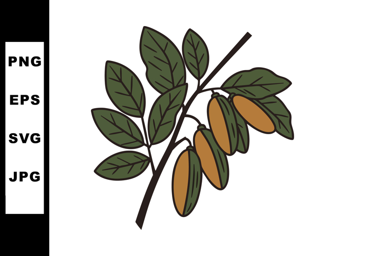 Coco Clipart Image 13