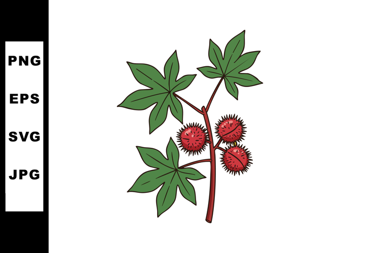 Seed Clipart