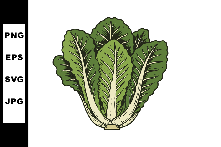 Vegetable Clipart Image 2