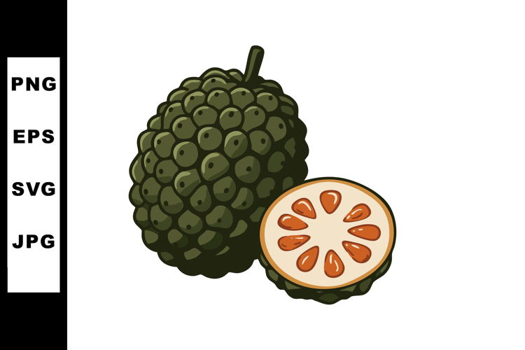 Fruit Vector Image 9