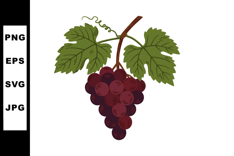 Grape Vine Clipart Image 9