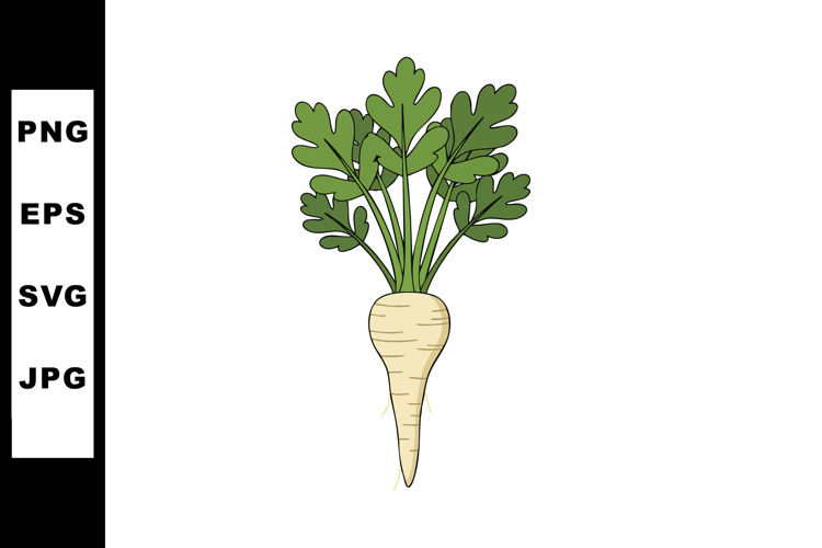 Vegetable Clipart Image 20