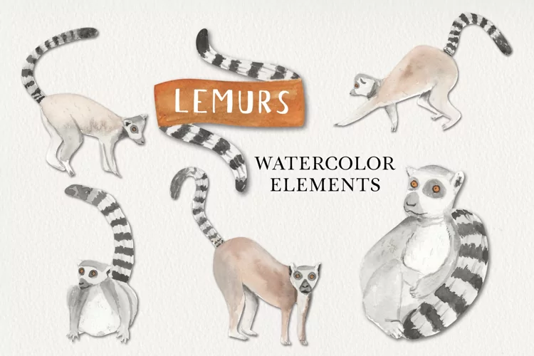 Watercolos Lemurs Hand Painted Animal Tails Fun