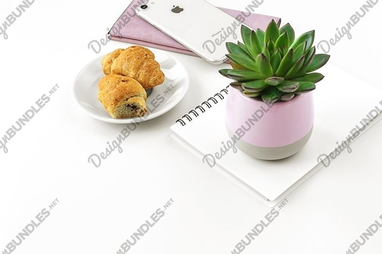 Feminine Styled Stock Photo, Feminine Styled Desktop Mockup