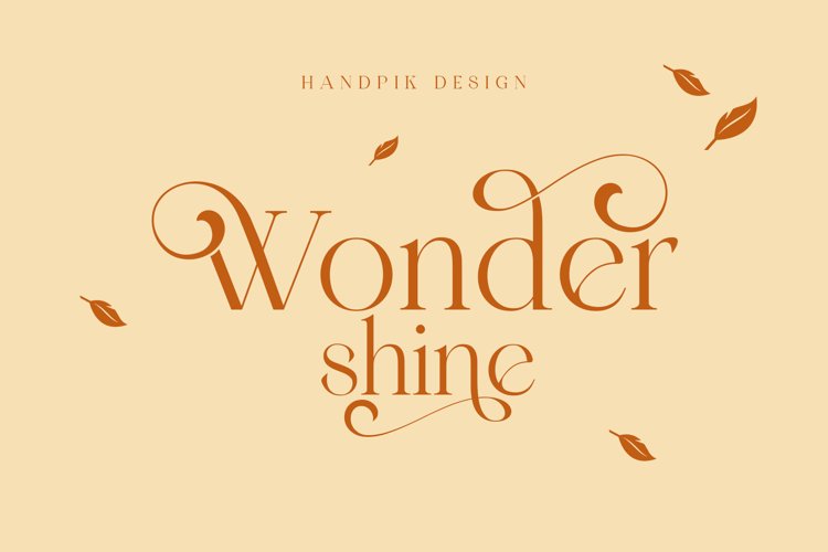Wondershine example image 1