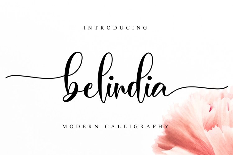 Belindia Script example image 1