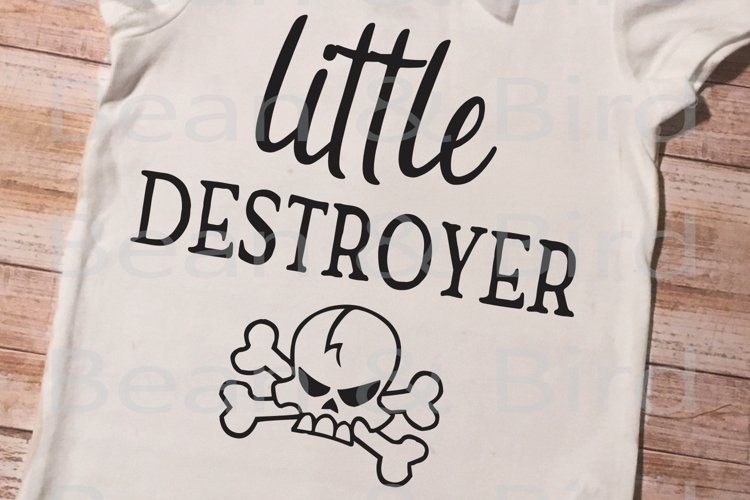 Little Destroyer example image 1