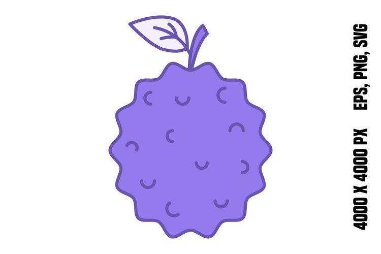 Colored Lychee Icon